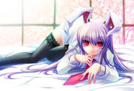 kemonomimi reisen touhou // 1017x696 // 540.4KB